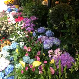 13693003_1110401085687879_1138858302728274788_o