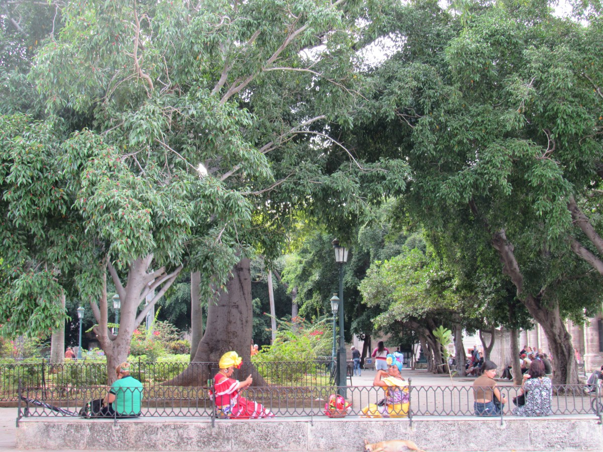 experienced + reviewed